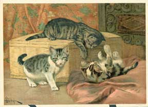 Item #01-1086 Three cats playing. John Rolph