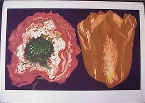 Item #02-0693 Poppy and Tulip (Les Fleurs du Mal). Lowell Nesbitt