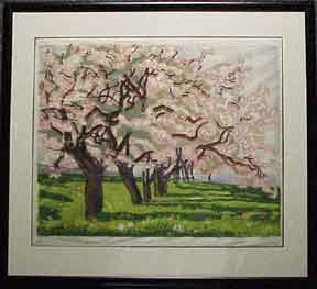 Item #03-0149 Cherry trees in bloom in a field. Meta Cohn Hendel