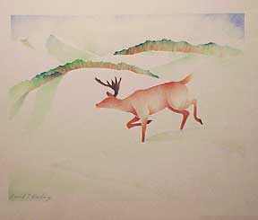 Item #03-0410 Buck deer. David Darling