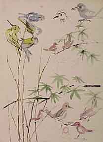 Item #03-0570 Studies of Birds. Watercolor artist