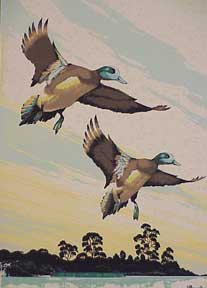 Item #03-0572 Ducks in flight. Bunnell