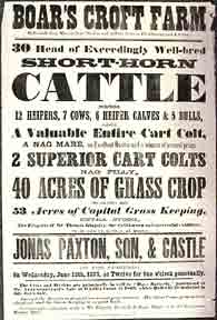Item #03-0728 Boar’s Croft Farm. Short Horn Cattle [original auction poster]. Jonas Paxton