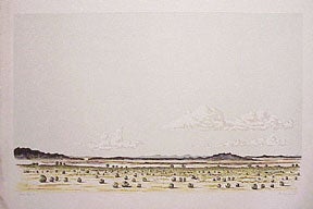 Item #04-1045 Desert View. Barbara Dussett
