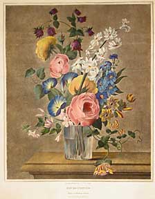 Item #04-1327 Fleurs cultivées. S. F. Le Grand