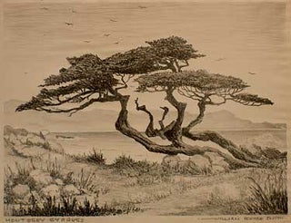Item #05-0668 Monterey Cypress. William Horace Smith