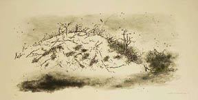 Item #05-1756 Scrub Pine. Provincetown Dunes. LOUIS LOZOWICK