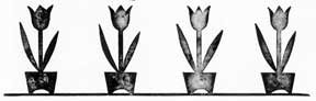 Item #07-0255 Four Tulips. Letterpress Metal Cut Artist
