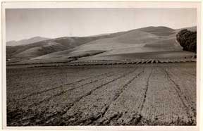 Item #07-0536 Photograph of Linda Mar before homes were built. California photographer, Bill Shands?
