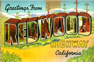 Item #09-0482 California Redwood Highway postcards. Zan Stark.