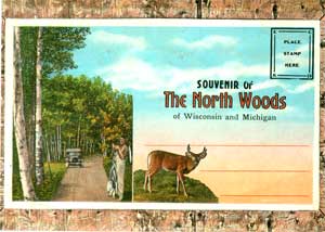 E. C. Kropp - Souvenir of the North Woods of Wisconsin and Michigan [Postcards]