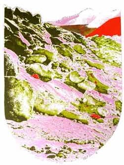 Item #09-0555 Mt. Sinai. Albert Garvey