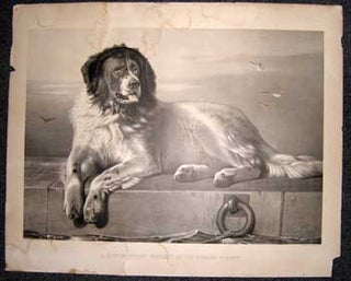 Item #11-0007 A Distinguished Member of the Humane Society. Sir Edwin Landseer