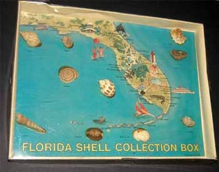 Item #11-0035 Florida Shell Collection Box. Beachcomber International