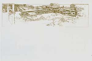 Item #12-0499 Dwelling of D. D. Martin house, Buffalo, New York, 1904. Pl. XXXII. Frank Lloyd Wright.