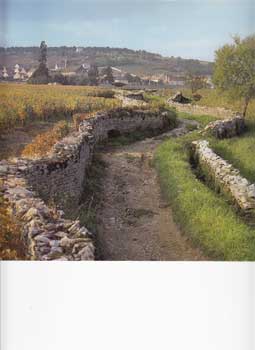 Item #12-0567 Chemin de vigne bordé de murs en pierres séches. Menu cover for the Confrérie des Chevaliers du Tastevin. Francis Jalain, Confrérie des Chevaliers du Tastevin.