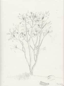 Item #12-0571 Tree. Rhonda Lynn