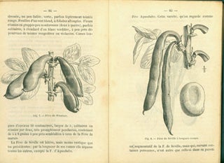 Item #15-4197 Almanach Du Jardinier Par Les Redacteurs de la Maison Rustique du XIX Siecle. Orne...