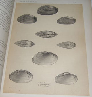 Item #15-4353 Observations On the Genus Unio; Together With Descriptions of New Species in the...