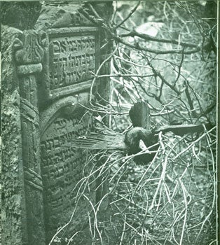 Item #15-4761 Der Alte Judische Friedhof In Prag. (The Old Prague Jewish Cemetery). Jan Lukas, Jindrich Lion, Jiri Rathousky, photog., text, graphics.