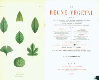 Item #15-6995 Le Regne Vegetal. Pierre-Oscar Reveil, Frederic Gerard, A. Dupuis, Edouard Maubert,...