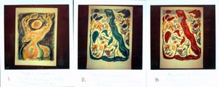 Item #15-7074 Photographs (color) of works by Andre Masson. Inc Pasquale Iannetti Art Galleries,...