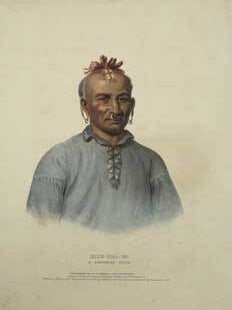 Item #16-2773 Kish-kal-wa, a Shawanoe Chief from History of the Indian Tribes of North America....