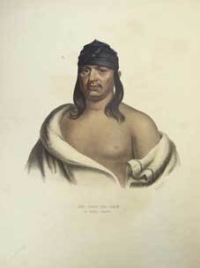 Item #16-2792 PA-SHE-PA-HAW / A SAUK CHIEF. from History of the Indian Tribes of North...