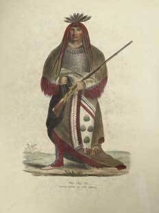 Item #16-2797 WA-NA-TA / GRAND CHIEF OF THE SIOUX. from History of the Indian Tribes of North...