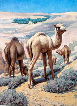 Item #16-3140 A Group of Camels. Edward Osmond