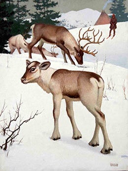 Item #16-3147 Reindeer and a Snowy landscape with a Man on skis. Edward Osmond