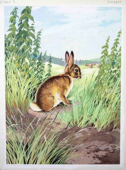 Item #16-3155 A Rabbit. George Brook