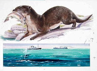 Item #16-3171 Studies of an Otter with a Fish and Whales with Boats. Denys Ovenden, F. Z. S., D W