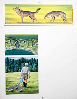 Item #16-3189 Studies of Wolves, Fish Kissing and a Man Feeding Geese. Denys Ovenden, F. Z. S., D W