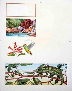 Item #16-3197 Studies of a Dog Drinking, a Humming Bird taking nectar and a Salamander taking an...