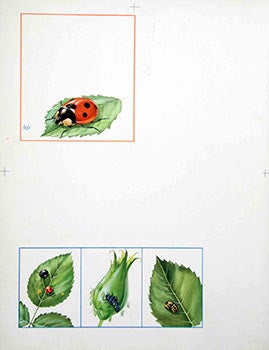 Item #16-3199 Lady Bugs and Beetles on leaves. Denys Ovenden, F. Z. S., D W