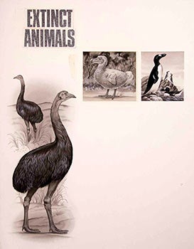 Item #16-3205 Study of 3 Birds with text: Extinct Animals. Denys Ovenden, F. Z. S., D W