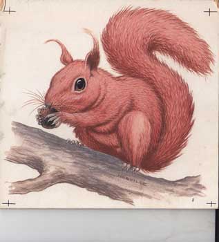 Item #16-3209 A Squirrel. Peter Henville