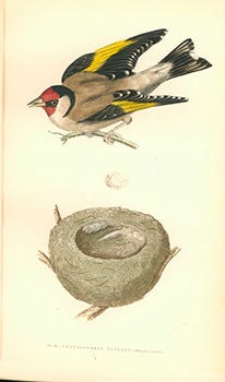 Item #16-3412 Ornithologie du salon: Synonymie, description, moeurs, nourriture des oiseaux de volière européens et exotiques. First edition. Raoul Boulart.