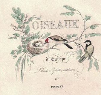 Item #16-3415 Histoire naturelle des oiseaux d'Europe.. Première partie. Passereaux [all published], First edition. Charles Lemaire, Pauquet, artist.