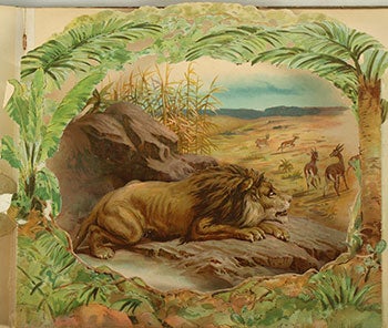 Item #16-3486 Wild Animal Stories, a Panorama Picture Book. First edition. C. Manville Fenn, Introduction.