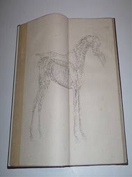 The Anatomy of The Horse Including A Particular Description of the Bones, Cartilages, Muscles, Fascias, Ligaments, Nerves, Arteries, Veins and Glands Illustrated by Twenty-Four Plates by George Stubbs, painter. Second.Edition. Complete.