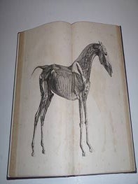 The Anatomy of The Horse Including A Particular Description of the Bones, Cartilages, Muscles, Fascias, Ligaments, Nerves, Arteries, Veins and Glands Illustrated by Twenty-Four Plates by George Stubbs, painter. Second.Edition. Complete.
