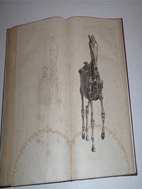The Anatomy of The Horse Including A Particular Description of the Bones, Cartilages, Muscles, Fascias, Ligaments, Nerves, Arteries, Veins and Glands Illustrated by Twenty-Four Plates by George Stubbs, painter. Second.Edition. Complete.