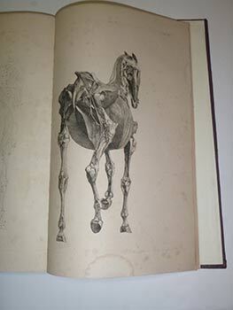 The Anatomy of The Horse Including A Particular Description of the Bones, Cartilages, Muscles, Fascias, Ligaments, Nerves, Arteries, Veins and Glands Illustrated by Twenty-Four Plates by George Stubbs, painter. Second.Edition. Complete.