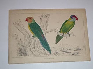 Item #16-4119 Fourteen handcolored wood-engravings of birds from "A History of the Earth and...