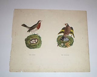 Item #16-4122 British birds and their nests and eggs. First edition of the engravings. Thomas ?...