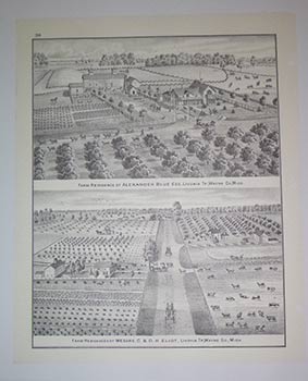 Illustrated Historical Atlas of the County of Wayne Michigan. A large collection of plates from the Gale Research facsimile of the 1876 edition .