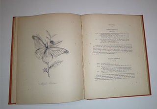 Natural history of the insects of China, containing upwards of two hundred and twenty figures and descriptions, by E. Donovan ... A new edition brought down to the present state of the science, with systematic characters of each species, synonyms, indexes, and other additional matter, by J.O. Westwood , Original edition.