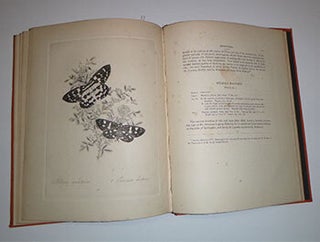 Natural history of the insects of China, containing upwards of two hundred and twenty figures and descriptions, by E. Donovan ... A new edition brought down to the present state of the science, with systematic characters of each species, synonyms, indexes, and other additional matter, by J.O. Westwood , Original edition.